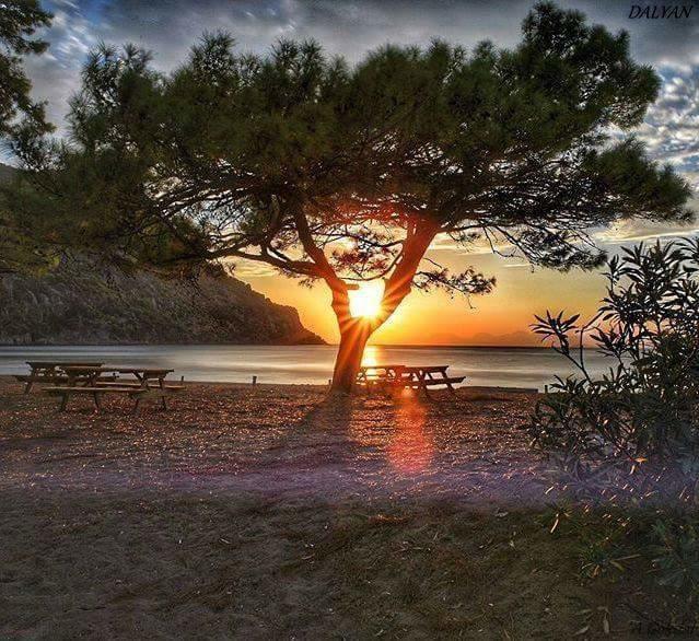 Sirius Hotel Dalyan Kültér fotó