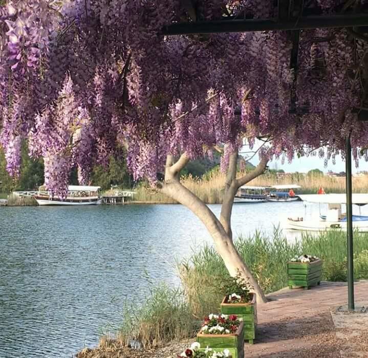 Sirius Hotel Dalyan Kültér fotó
